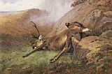 Archibald Thorburn the lost stag painting